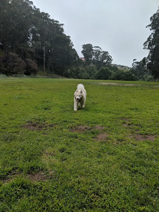 Dog Park | Pine Lake Park 10