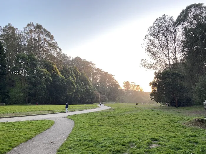 Dog Park | Pine Lake Park 2