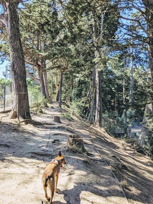 Upper Douglass Dog Play Area 9