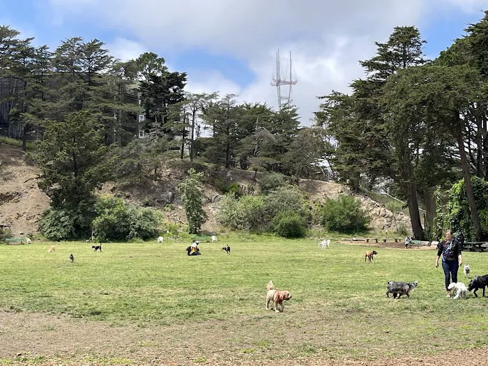 Upper Douglass Dog Play Area 4