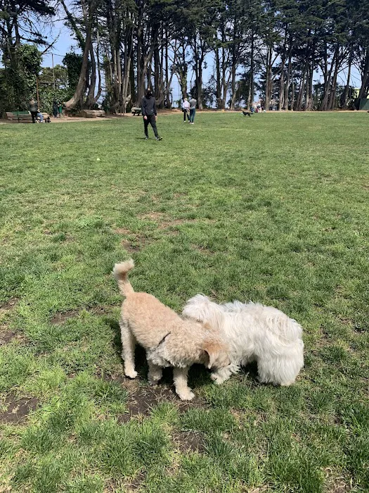Upper Douglass Dog Play Area 3