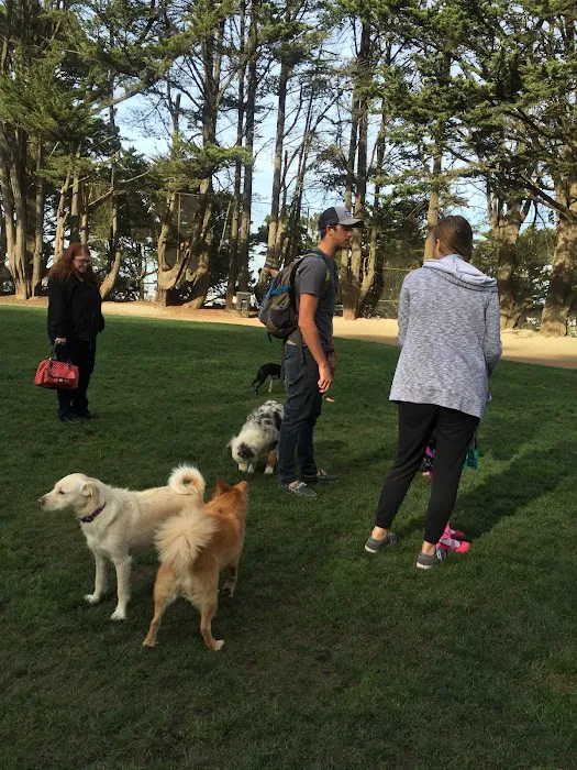 Upper Douglass Dog Play Area 1