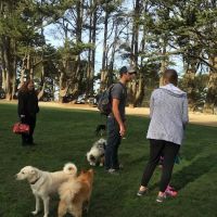 Upper Douglass Dog Play Area ico