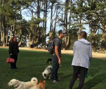 Upper Douglass Dog Play Area