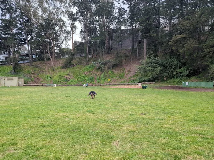Upper Douglass Dog Play Area 2