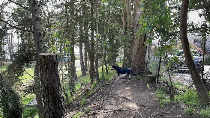 Upper Douglass Dog Play Area 5