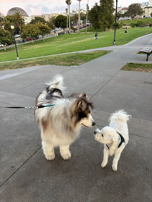 Mission Dolores Dog Play Area South 2