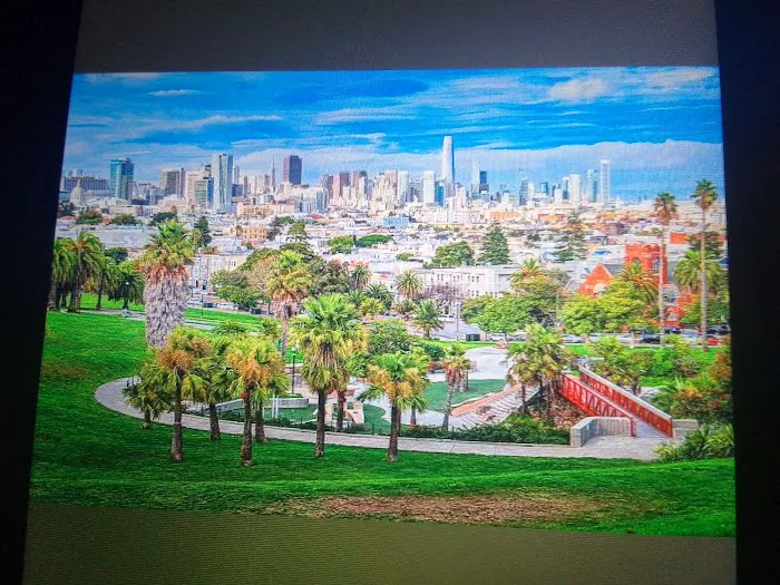 Mission Dolores Dog Play Area South 4