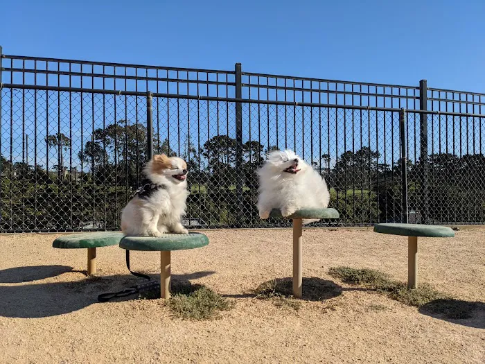 Dog Agility Park 1