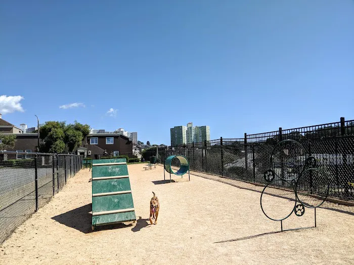 Dog Agility Park 6