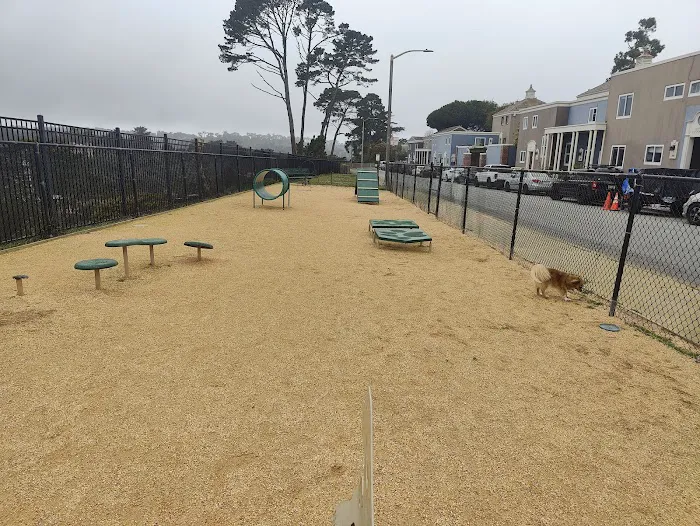 Dog Agility Park 2