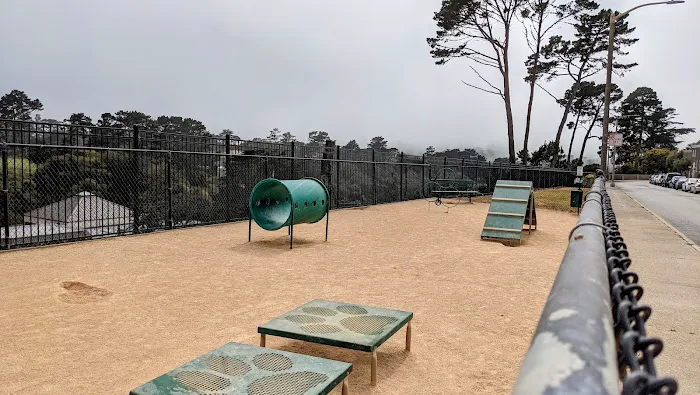 Dog Agility Park 8