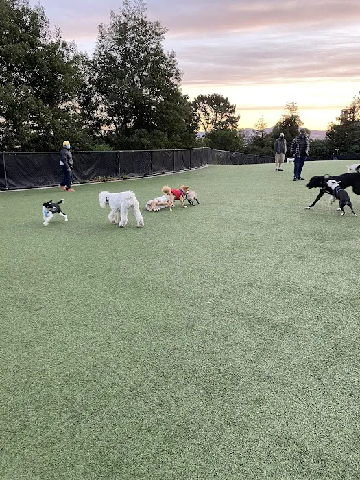 Walter Haas Dog Play Area 10