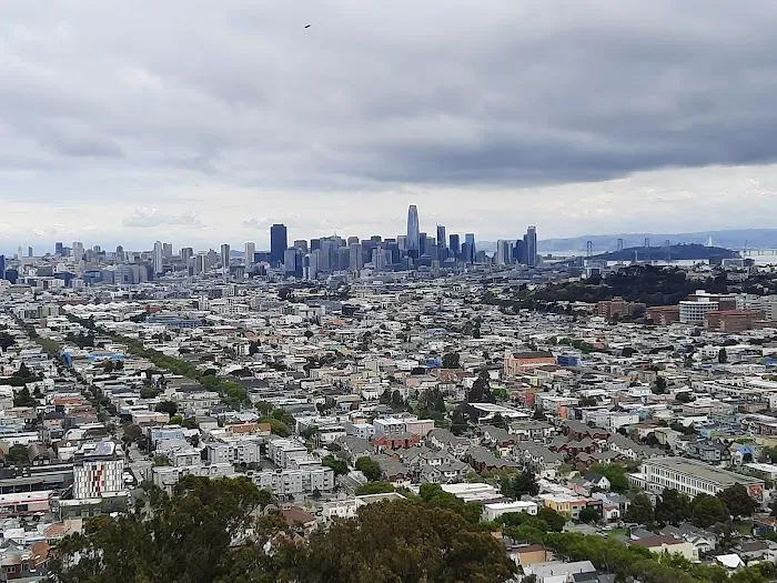 Bernal Heights Dog Play Area 2
