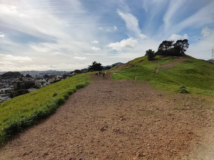 Bernal Heights Dog Play Area 9
