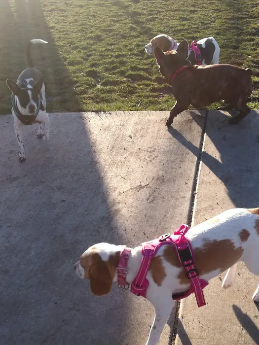 Ceres Dog Park 8