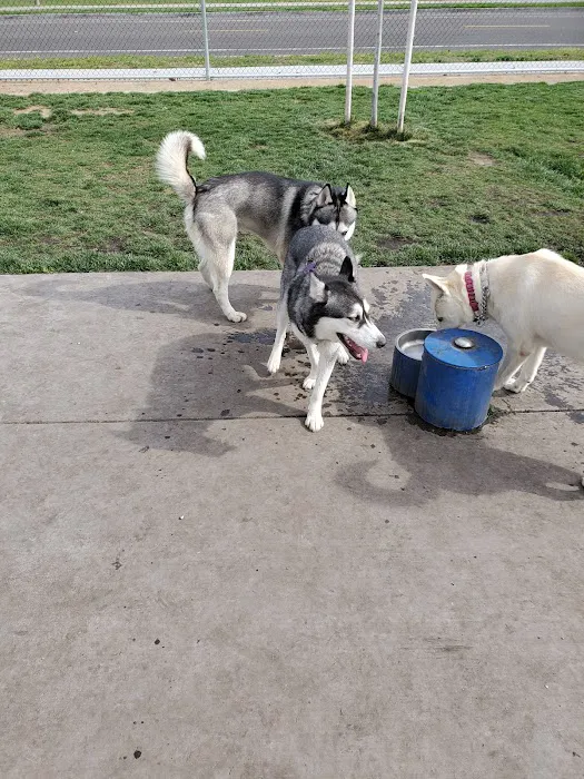 Ceres Dog Park 6