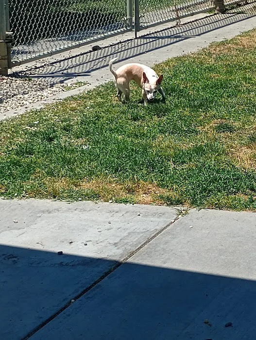 Ceres Dog Park 4