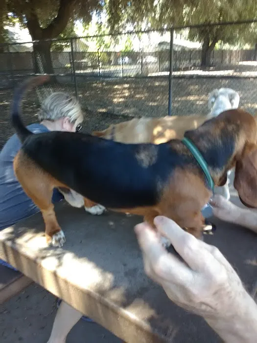 Ceres Dog Park 10