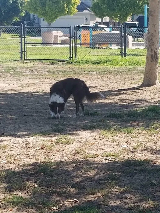 Swanson Centennial Park 1