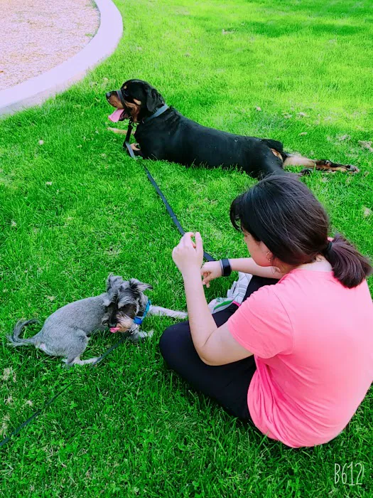 Patterson Dog Park 8