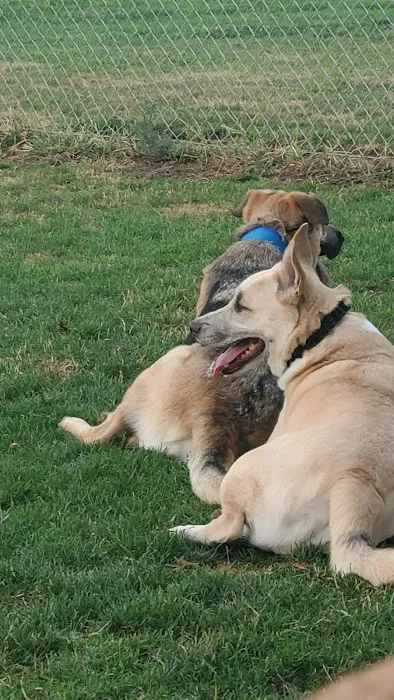Patterson Dog Park 3