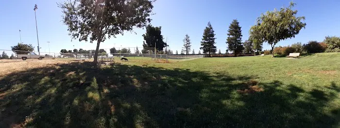 Patterson Dog Park 2