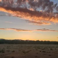 Patterson Dog Park ico