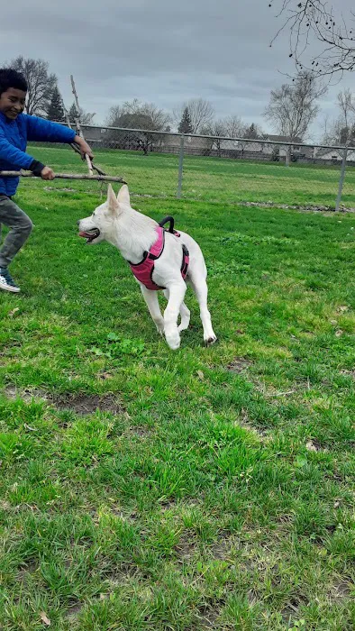 Quaile Rand Norton Dog Park 3