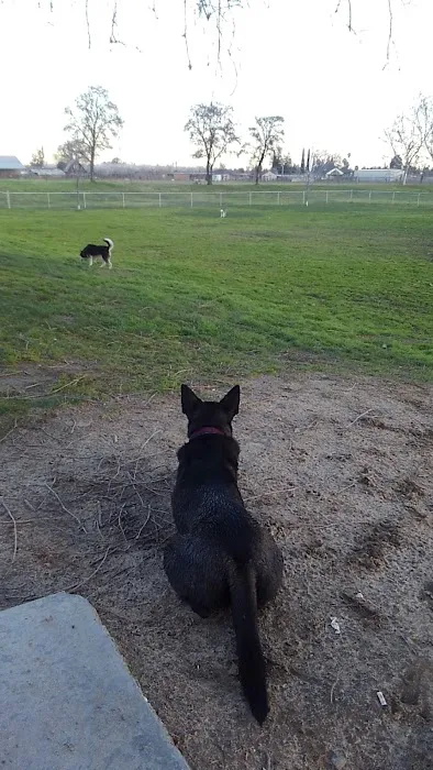 Quaile Rand Norton Dog Park 10