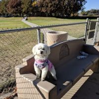 Quaile Rand Norton Dog Park ico