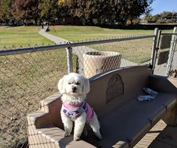 Quaile Rand Norton Dog Park