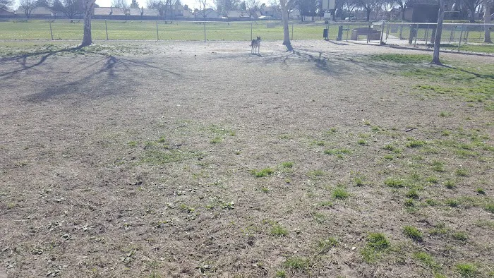 Quaile Rand Norton Dog Park 9