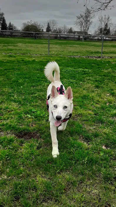 Quaile Rand Norton Dog Park 5