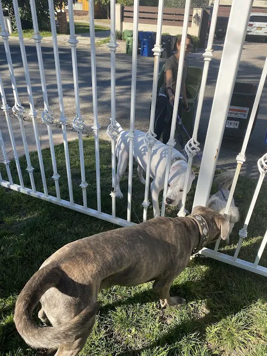 Shore Dogs Park 6