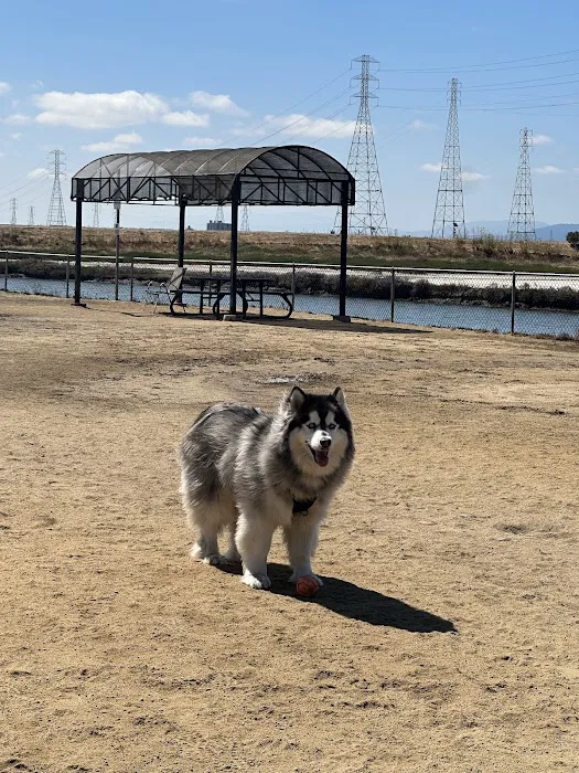 Shore Dogs Park 5