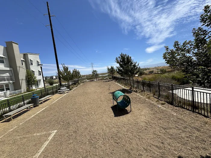 Bridgeway Dog Park 3
