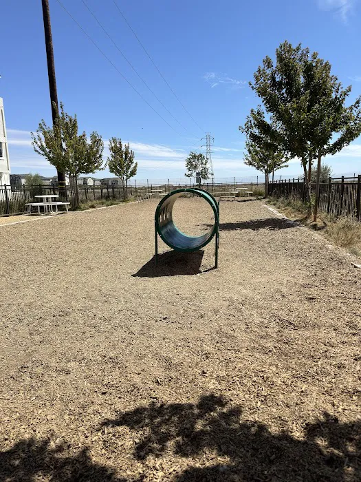 Bridgeway Dog Park 5