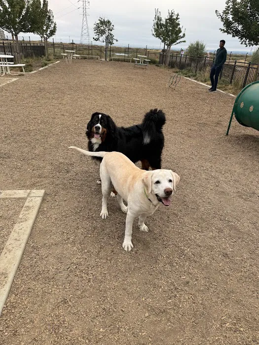 Bridgeway Dog Park 6