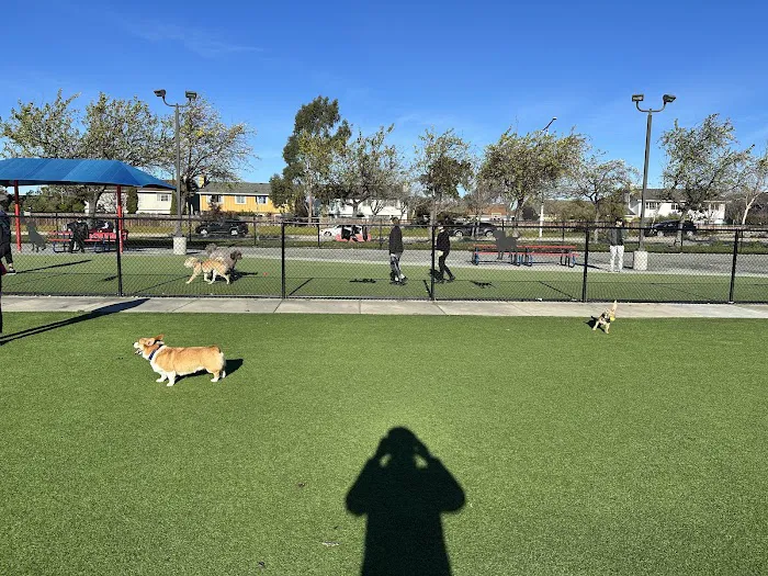 Foster City Dog Park 1