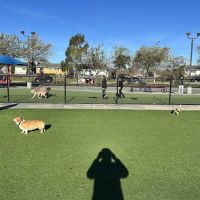 Foster City Dog Park ico