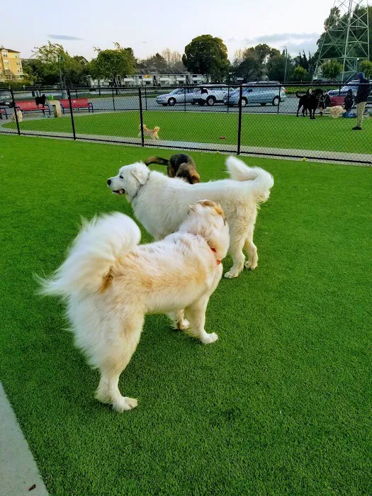 Foster City Dog Park 9