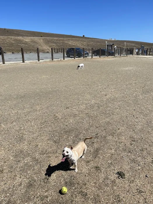 Dog Park | Seal Point Harbor 1