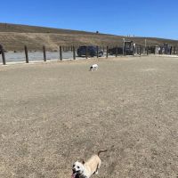 Dog Park | Seal Point Harbor ico