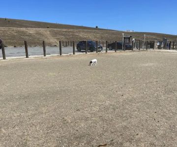 Dog Park | Seal Point Harbor