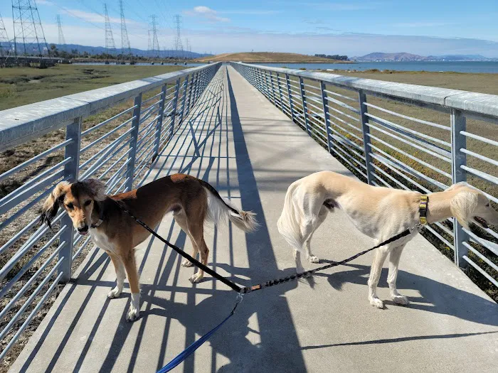 Dog Park | Seal Point Harbor 6