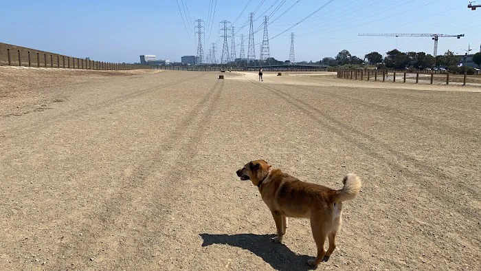 Dog Park | Seal Point Harbor 7