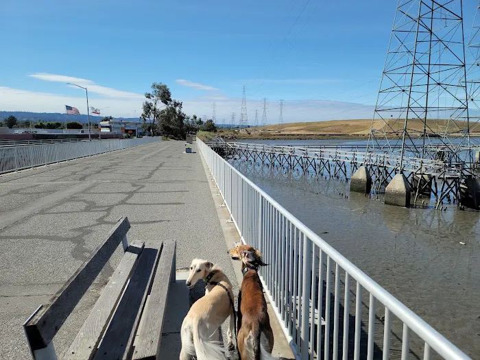 Dog Park | Seal Point Harbor 10