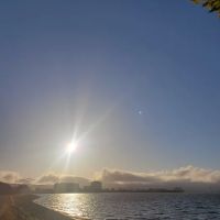 Burlingame Dog Exercise Park ico