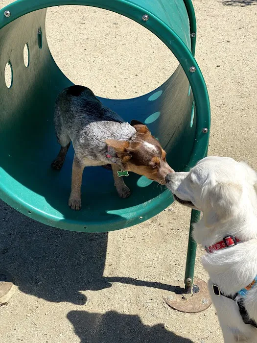 Burlingame Dog Exercise Park 4